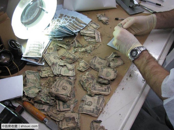 081850dlqmttmdgmp5bdol.jpg